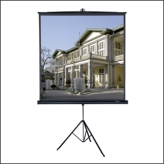 Projection Screen 155x155 w/Tripod